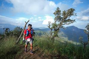 BIB: 8200
                            <button type="button" onclick="openModal(22373750)" class="btn btn-primary btn-sm float-right btn-popup" data-toggle="modal" data-target=".modal-high-quality">
                        <i class="fas fa-shopping-cart"></i> Add to Cart
                    </button>
                                            <button type="button" onclick="isThisMe(22373750, true)" class="btn btn-success btn-sm float-right btn-popup btn-isme hidden" data-toggle="tooltip" data-placement="bottom" title="นี่คือรูปของคุณใช่ไหม คลิกที่นี่เพื่อเอาเข้าอัลบั้ม">
                        <i class="fas fa-plus"></i> Add to album
                    </button>
                    <button type="button" onclick="isThisMe(22373750, false)" class="btn btn-warning btn-sm float-right btn-popup btn-isnotme hidden">
                        <i class="fas fa-ban"></i> Remove from album
                    </button>